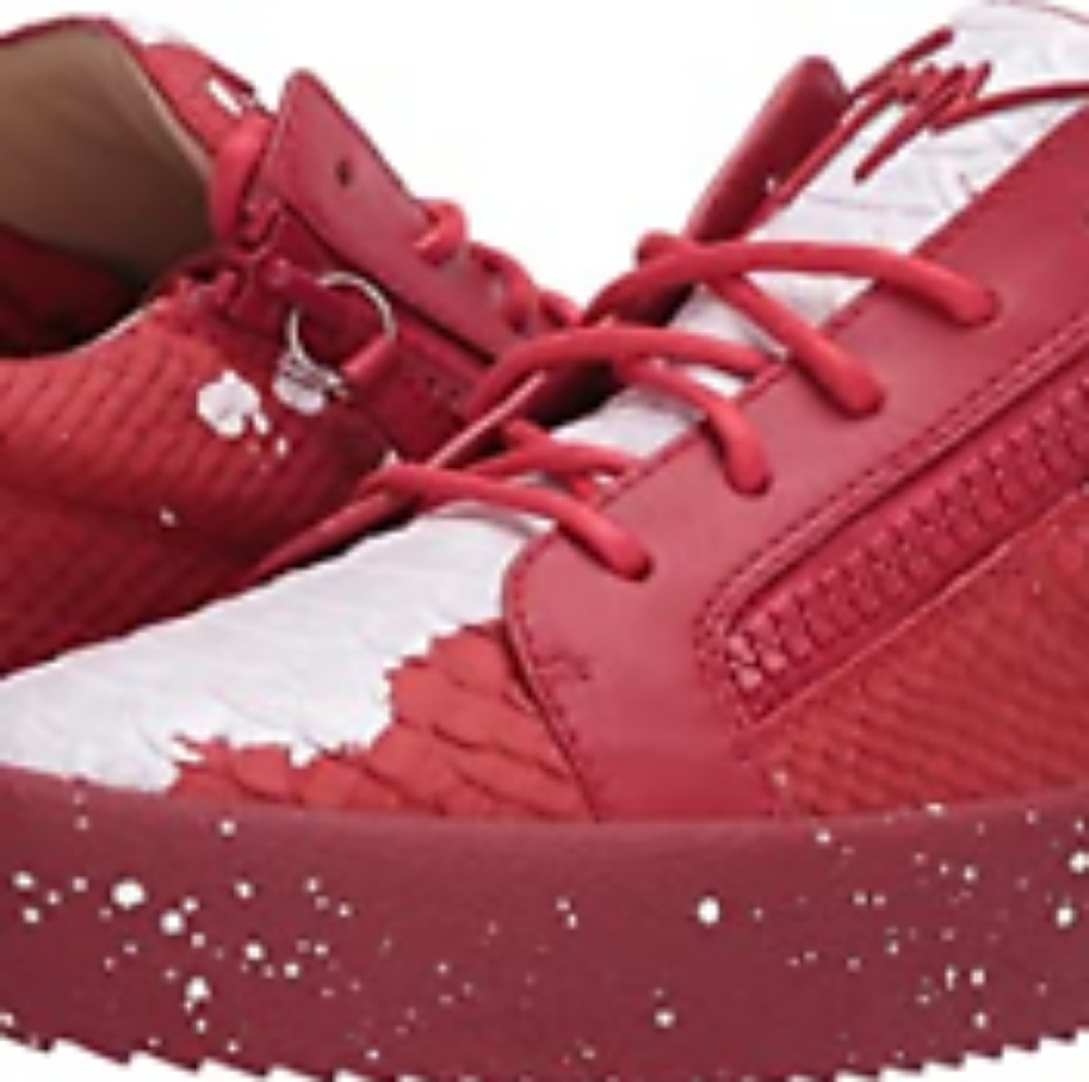 Giuseppe Zanotti